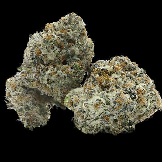 London Truffle Strain